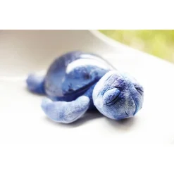 Tranquil Turtle Natlampe Ocean m. Lyd*Cloud B Best