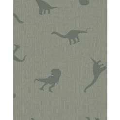 Agave Green Pyjamas Agave Green Dino Rib Noos*Name It Best