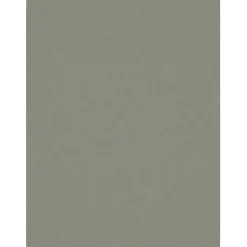 Agave Green Tank Top 2-pack Agave Green Dino Noos*Name It Clearance