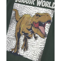 Garden Topiary Nmmjewel Jurassic Nreg Ls Top Noos Sky*Name It Best