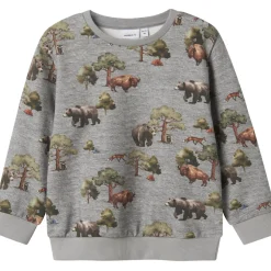 Grey Melange Nmmolin Ls Nreg Sweat Bru Box*Name It Discount