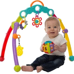 Fold & Go Playgym*PlayGro Sale