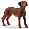 ® Farm World Rhodesian Ridgeback*Schleich Sale