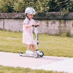 Highway Kick 1 Ash*Scoot and Ride Hot