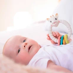 So Pure Coloring Bidering*Sophie la Girafe